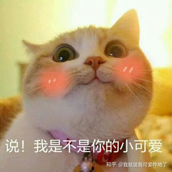 青春里最撩的事是什么?