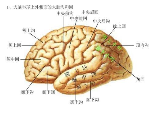 思维的智力操作过程 动作,形象,抽象思维「心理学了23