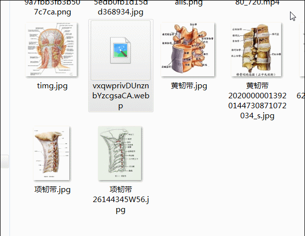 webp 相对于 png,jpg 有什么优势?