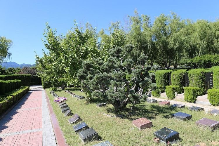 天寿陵园葬式大全树葬花坛葬草坪葬钻石葬壁葬介绍