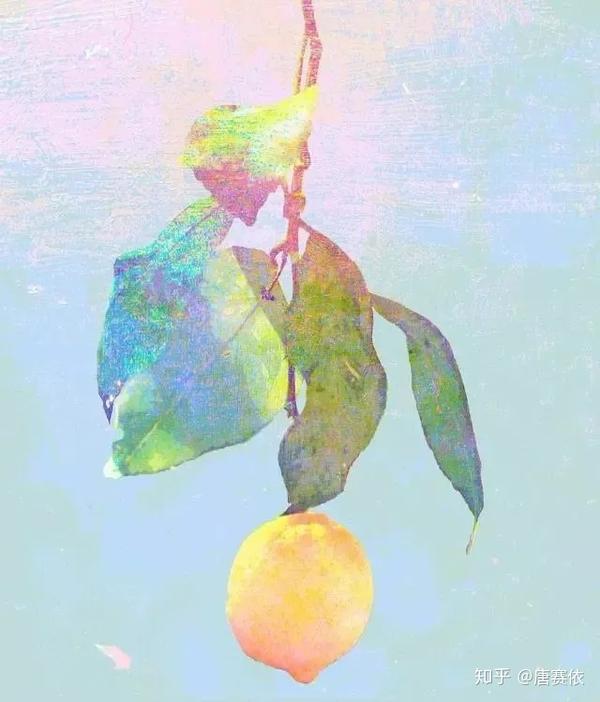 《lemon》mv米津玄师手绘 《bootleg》专辑的封面也是米津亲手绘制.