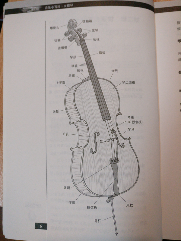 求教大提琴的结构名最好是有图解的那种?