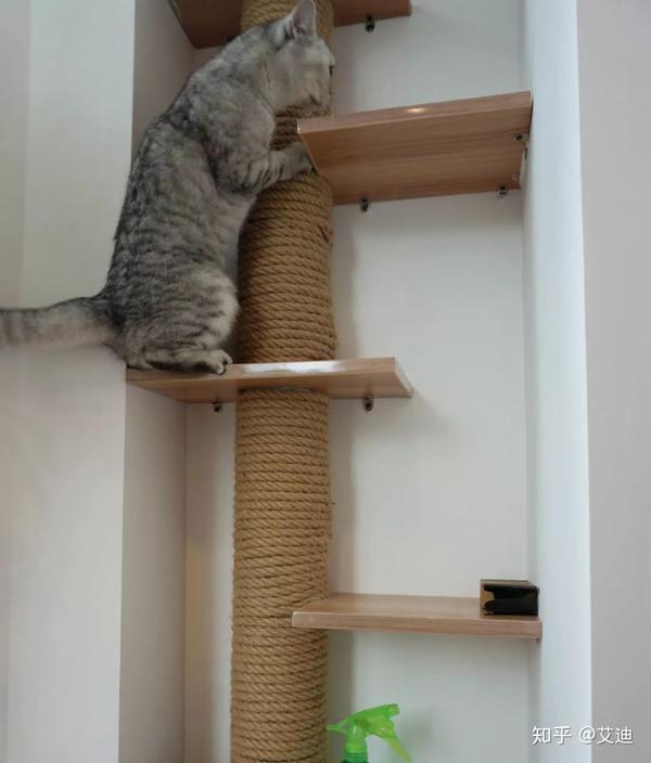 将阳台排水管绑上麻绳,利用衣柜剩余的板材做了一个猫爬架,增加了喵星