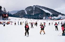 自由行这些地方最低只需五六