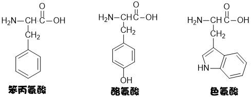 氨基酸嘌呤嘧啶结构式的记忆来呀背呀