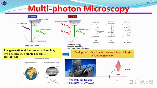 Pan Group生物光子学课程讲义十非线性显微术 知乎