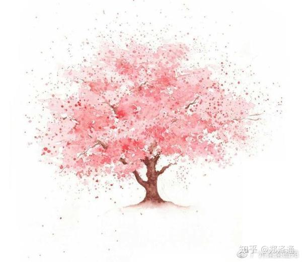 教你8种水彩画基本技法 樱花树