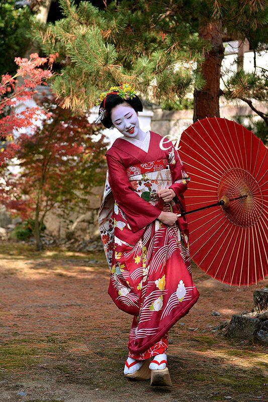 艺妓在日本已经是个夕阳产业了,在日本学艺妓的还没学芭蕾的多.