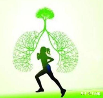 呼吸道健康管理增强肺部抵抗力刻不容缓