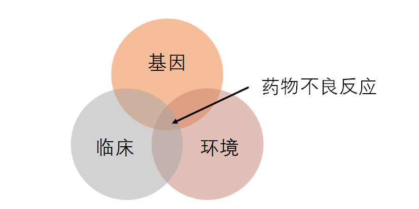 为什么会有药物不良反应