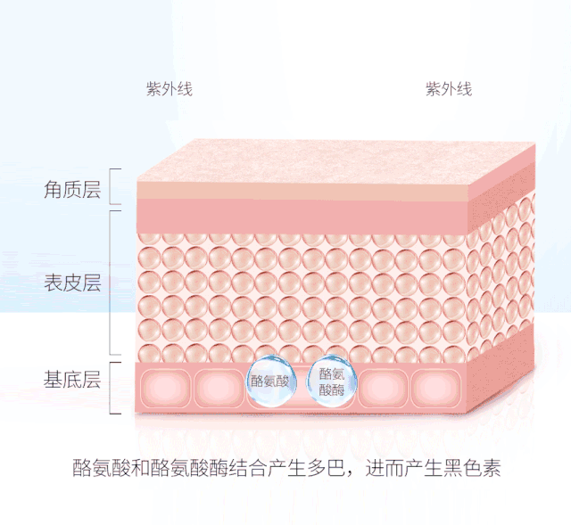 双11必buy清单(精华篇一)|你手里的美白精华塌房了吗?