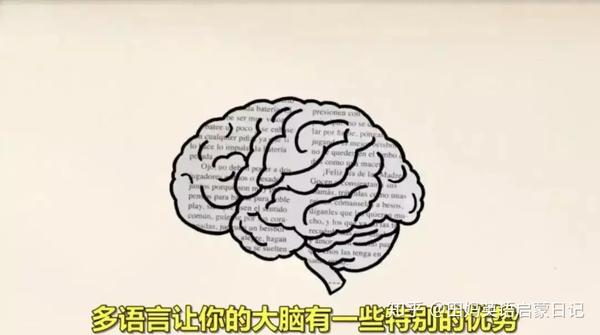 科学家指出: 双语者的大脑在结构上或运作上和单语者不同,学习多语言