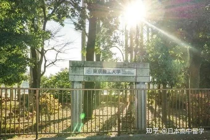 日本大学最容易被忽视的东京国立东京农工大学