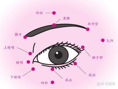 眼睛周围流通着与内脏相连的经络,刺激这些经络上的穴位对恢复视力来