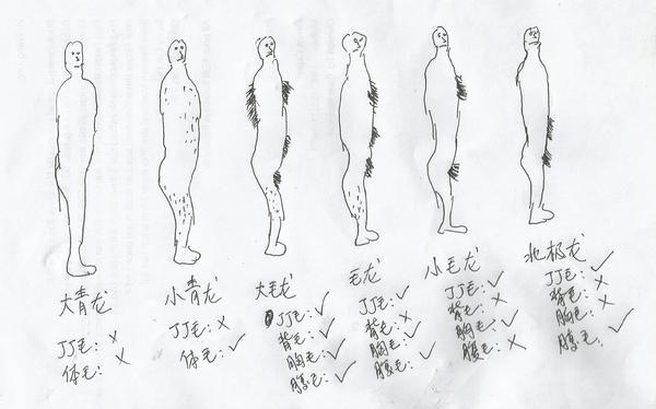 给真正的青龙男正名,也给假青龙取个好名