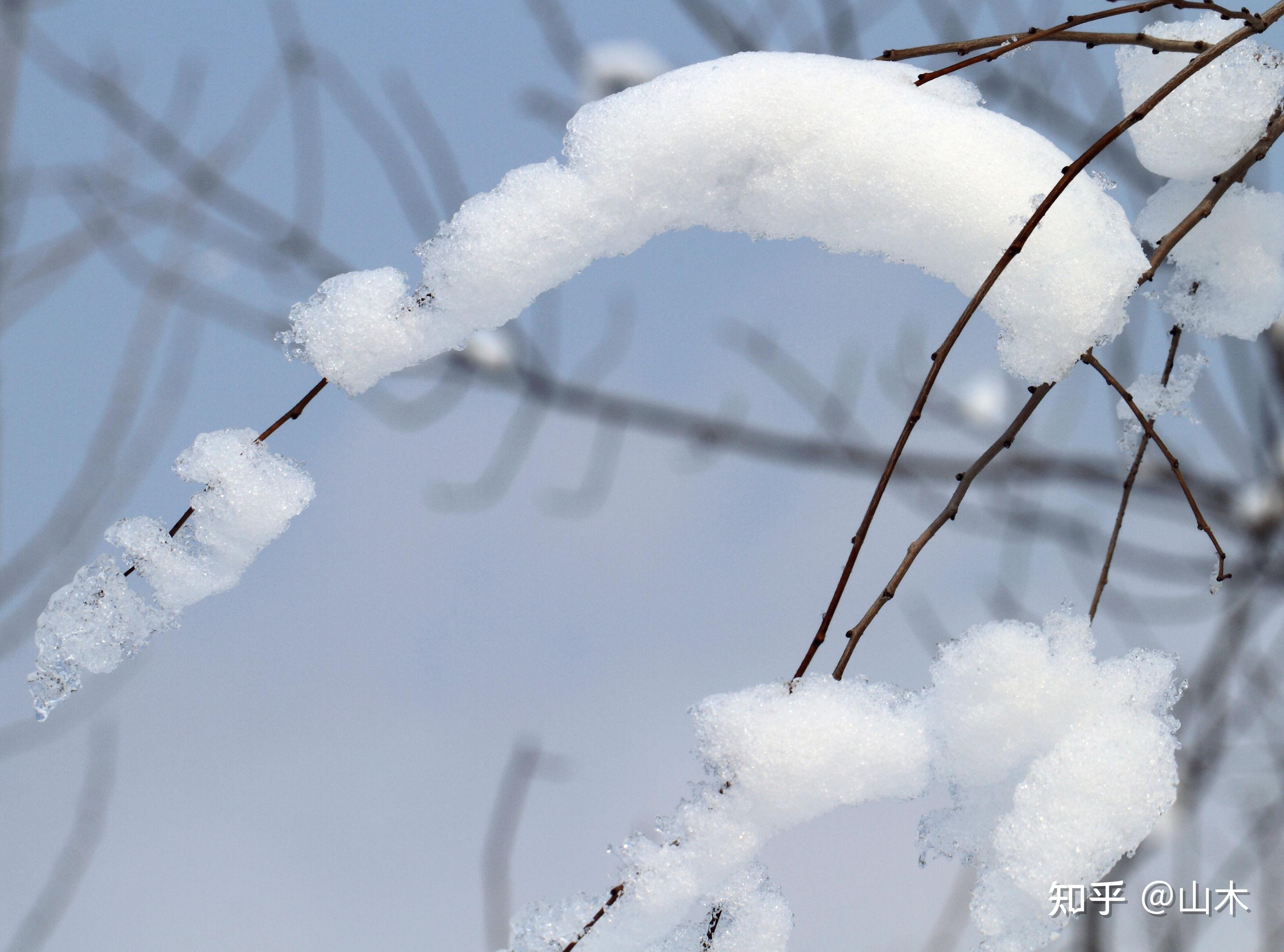 初雪即暴雪终于下雪了,历史上有哪些关于雪的诗词句子