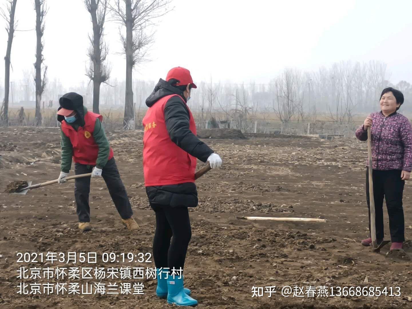 其中在北京怀柔杨宋镇西树行村执勤的志愿者们,早早的来到村里,再上岗