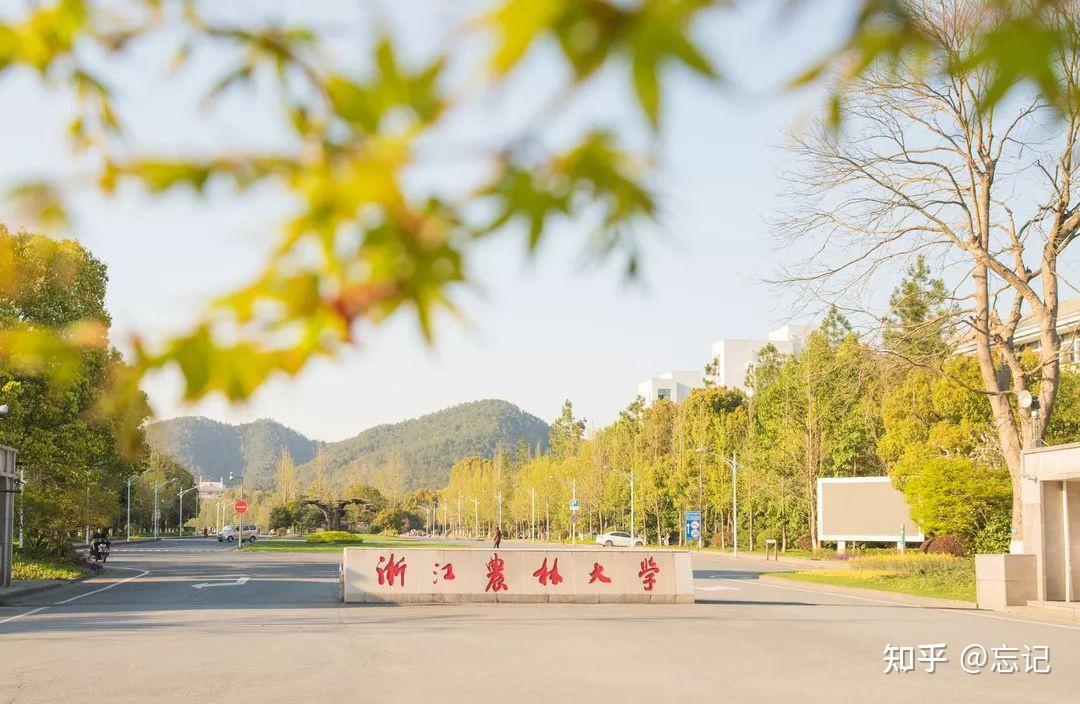 2021年浙江农林大学mpacc录取情况分析
