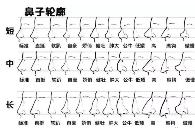 第十二篇鼻子的画法丨阿汤哥美术教程