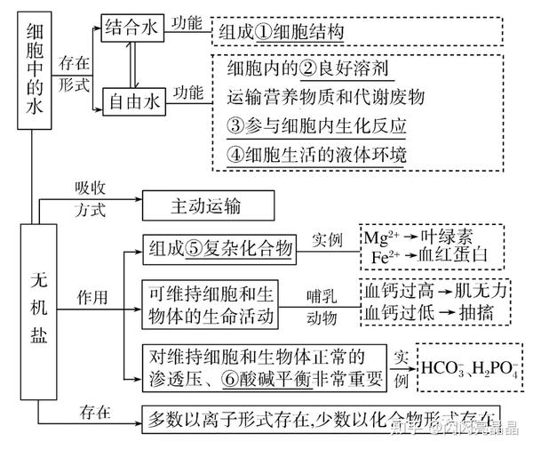 高中生物学大概念:分子与细胞知识结构图,一轮复习必备!