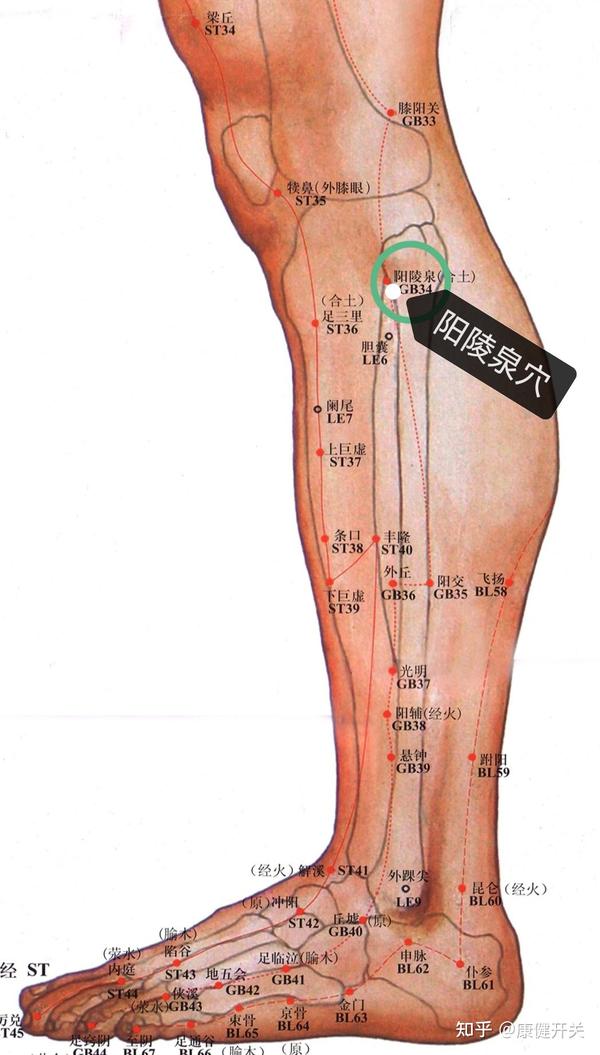 腿抽筋按揉身体这个开关快速有效