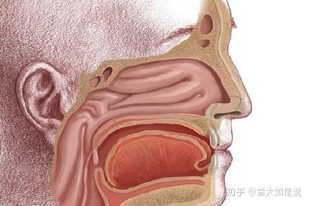 颅咽管瘤:颅咽管瘤是一种良性肿瘤,一般长在颅内,最后会压迫到咽喉