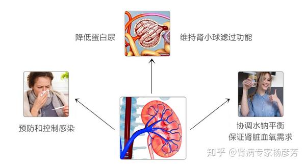 尿蛋白高怎么治疗_尿微量蛋白多少尿中出现蛋白加号_查尿白细胞高中医怎么治疗