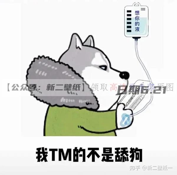 我tm的不是舔狗 抖音热门图片 表情包