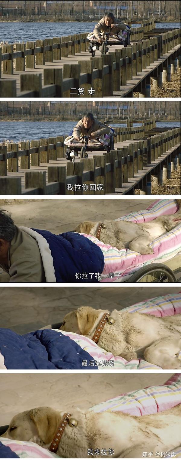 如何评价电影《忠爱无言》?