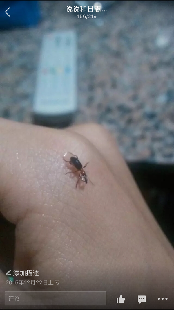 嘴里进个虫子是什么感觉?特别是蜘蛛一类腿多的恐怖家伙!