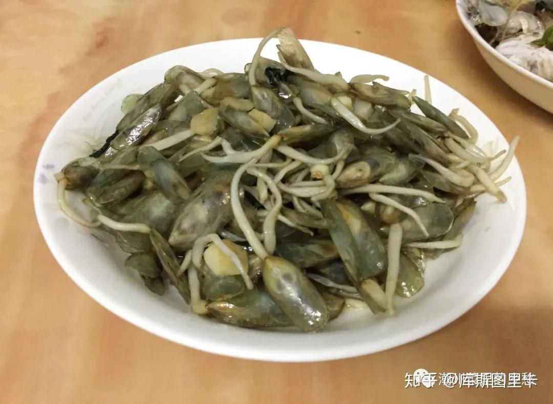 "胶墙根,尾端附着有绿豆大小的颗粒,仿似豆芽一般 因而也叫"海豆芽"