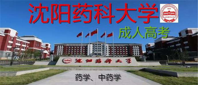 沈阳药科大学成人高考报名(药学专升本)