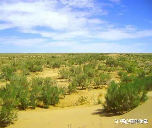 木克土3土克水堤坝可以防洪蓄水,把水固定在一个地方.