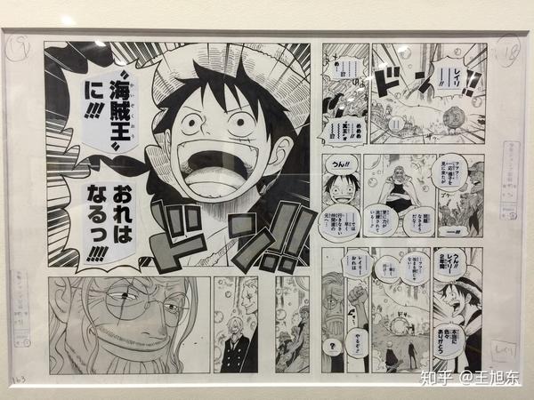 海贼王-航海王 (日本漫画家尾田荣一郎创作漫画)