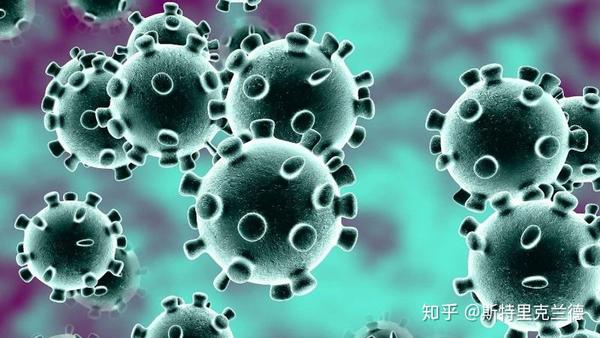 病毒是生物吗 知乎_病毒和细菌是生物吗_病毒是生物吗知乎