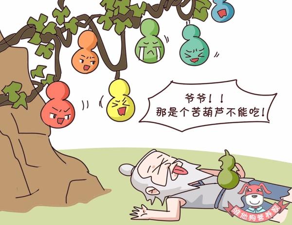 某地有一家人因为食用苦葫芦集体中毒住进了医院!