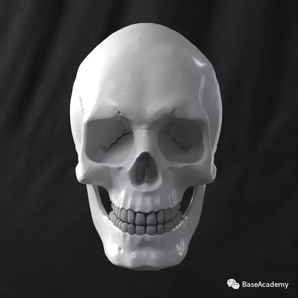 讲述通过用zbrush雕头骨的方式深入了解各个骨节之间的结构关系和比例