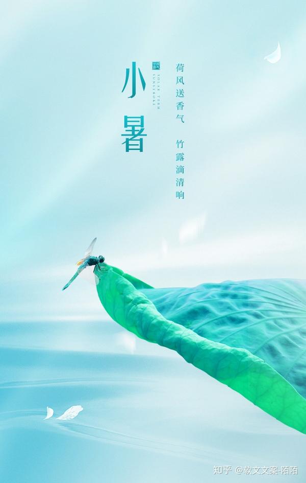 小暑海报