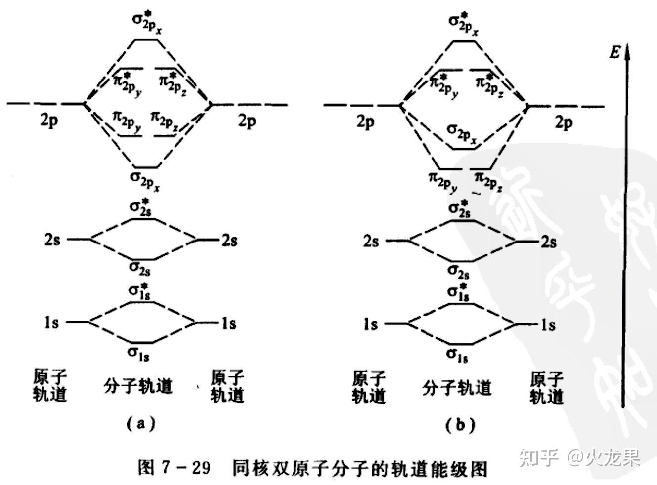 为什么氧分子轨道是这样画红框的地方为什么是1