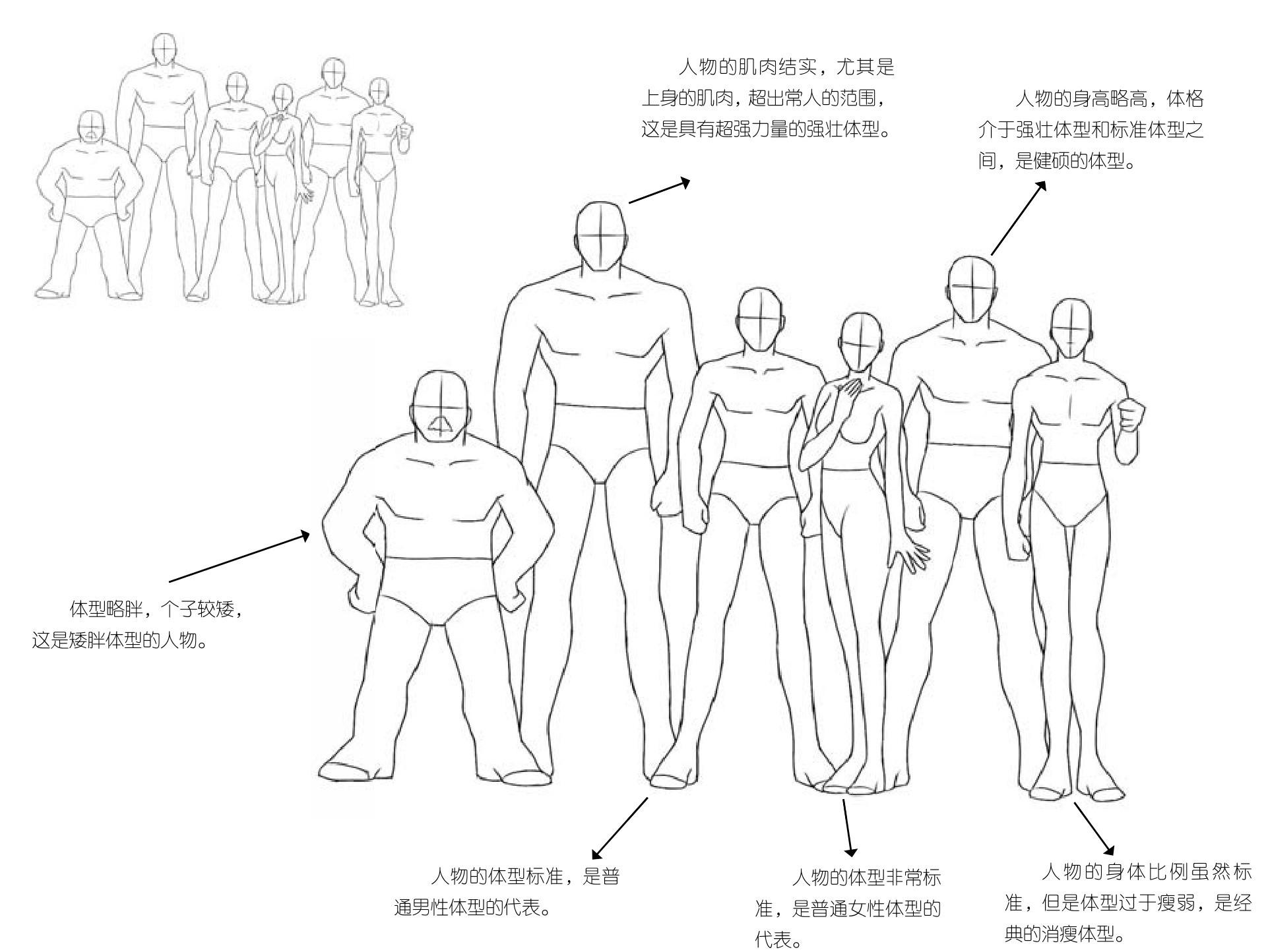 1.2 不同体型的人物