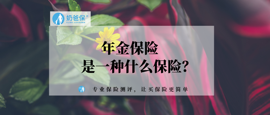 年金保险是一种什么保险?