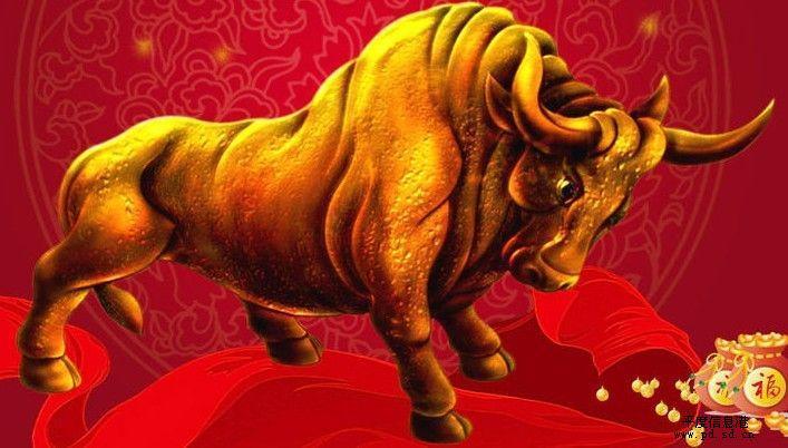 看我你得牛手把手教你最具实战的涨停回调买入法