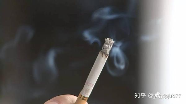 一盒香烟二十支,雾云缭绕己如痴. 自知有害应相戒,屡次心糟又手持.