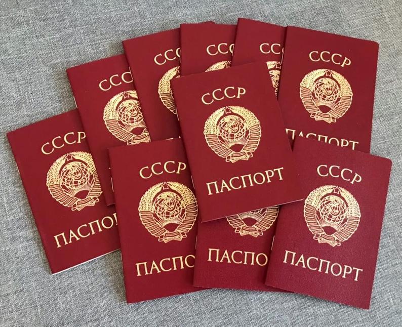 图翻译和取自阿尔伯特·沃赫明所著的《1980年以来的俄罗斯护照系统》