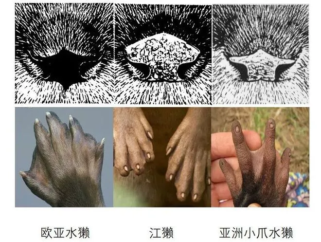 v2 3713508e61f65a90fa30fea3cb8a5087 720w
