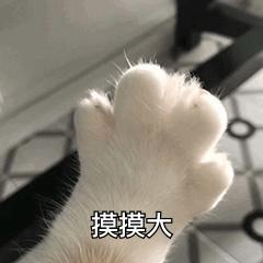 调戏老婆的表情包,一整套哦,情侣必备,快来收图吧