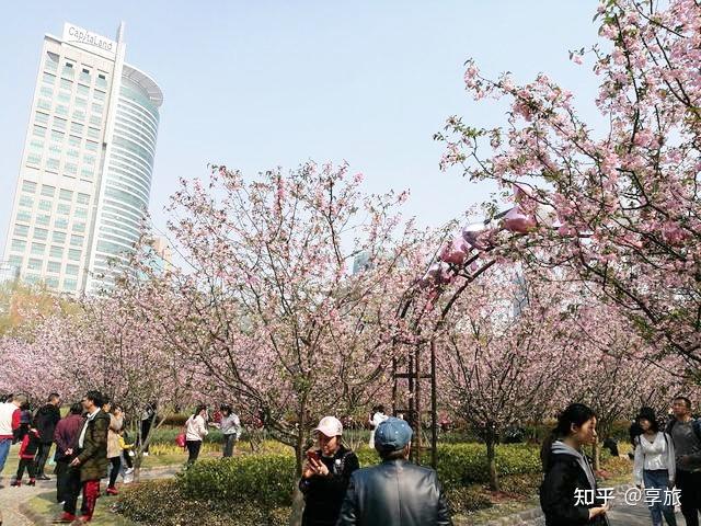 在春天海棠花开的时节,上海人民公园便成为海棠花的海洋,满目都是粉色