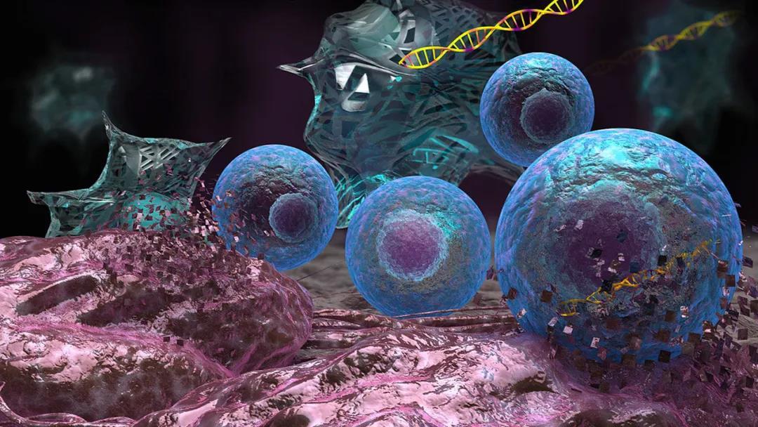 细胞治疗将成为医学第三大支柱干细胞和免疫细胞有什么区别