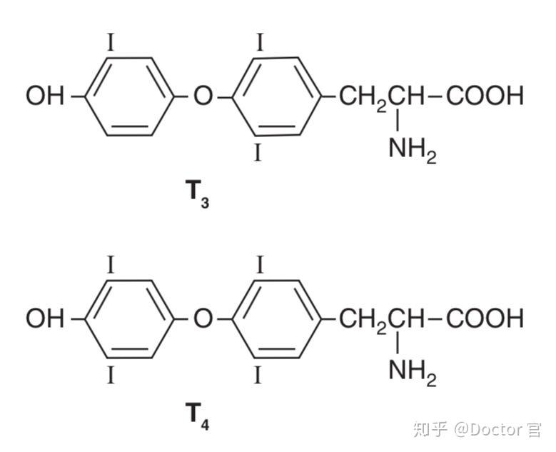 甲亢甲减多一碘还是少一碘