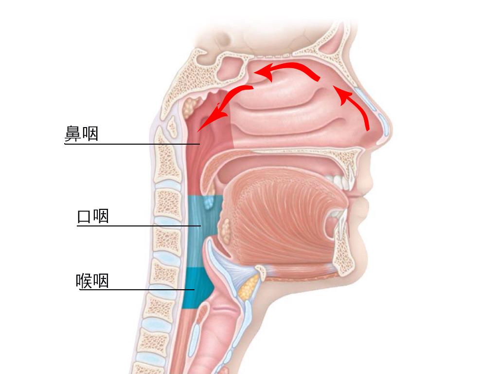 感冒后鼻腔和喉咙连接处那里有痰超级难受怎么办